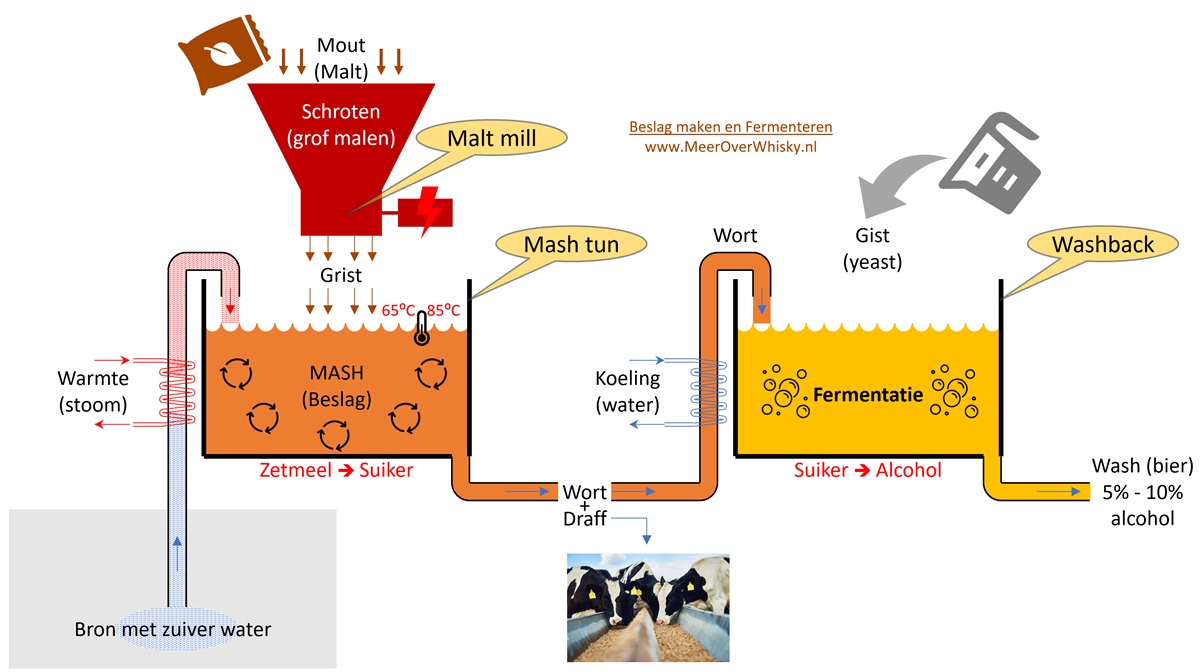 Mashing and Fermentation